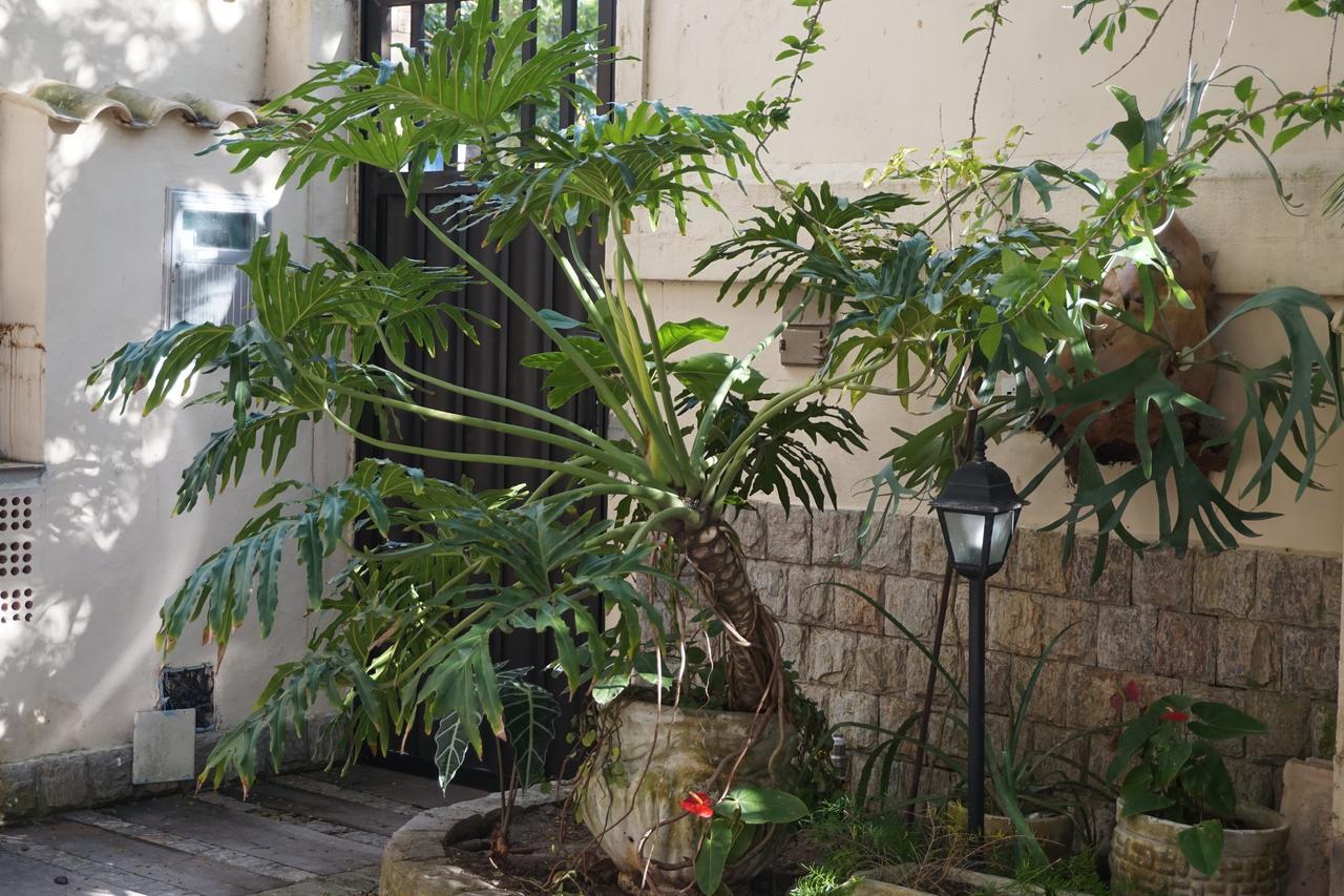Pouso Da Garca Bed and Breakfast Cabo Frío Exterior foto